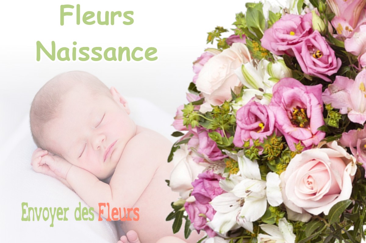 lIVRAISON FLEURS NAISSANCE à ARDELU